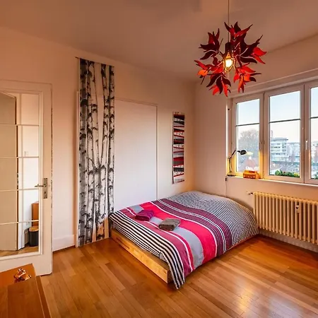 Large In Apartment *