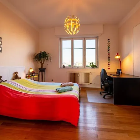 Large In Apartment Strasbourg